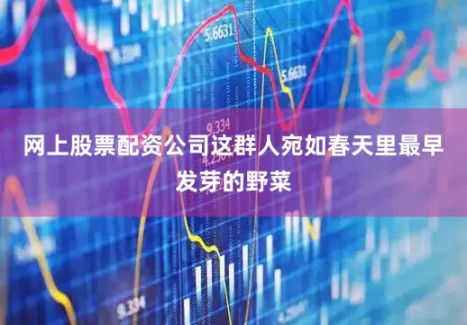网上股票配资公司这群人宛如春天里最早发芽的野菜