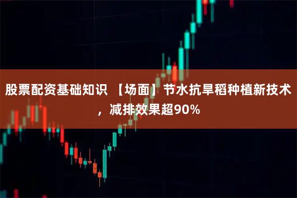 股票配资基础知识 【场面】节水抗旱稻种植新技术，减排效果超90%
