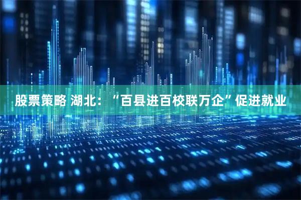 股票策略 湖北：“百县进百校联万企”促进就业