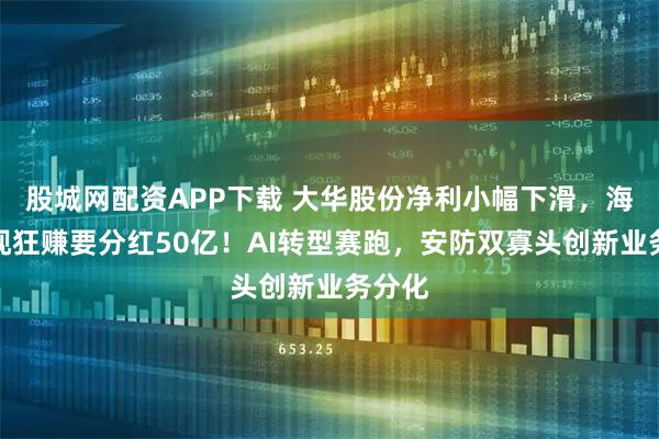 股城网配资APP下载 大华股份净利小幅下滑，海康威视狂赚要分红50亿！AI转型赛跑，安防双寡头创新业务分化